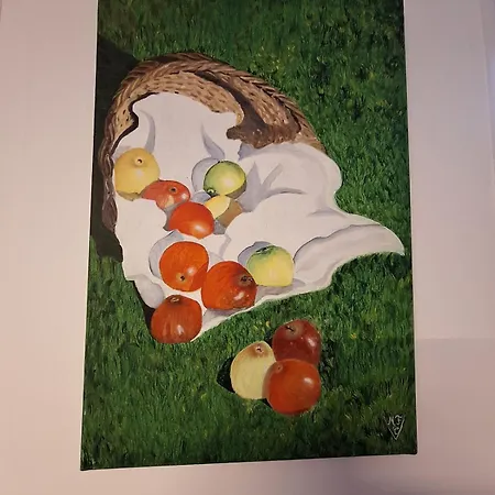 Casa vacanze O Charme Cachet Arques (Pas-de-Calais)